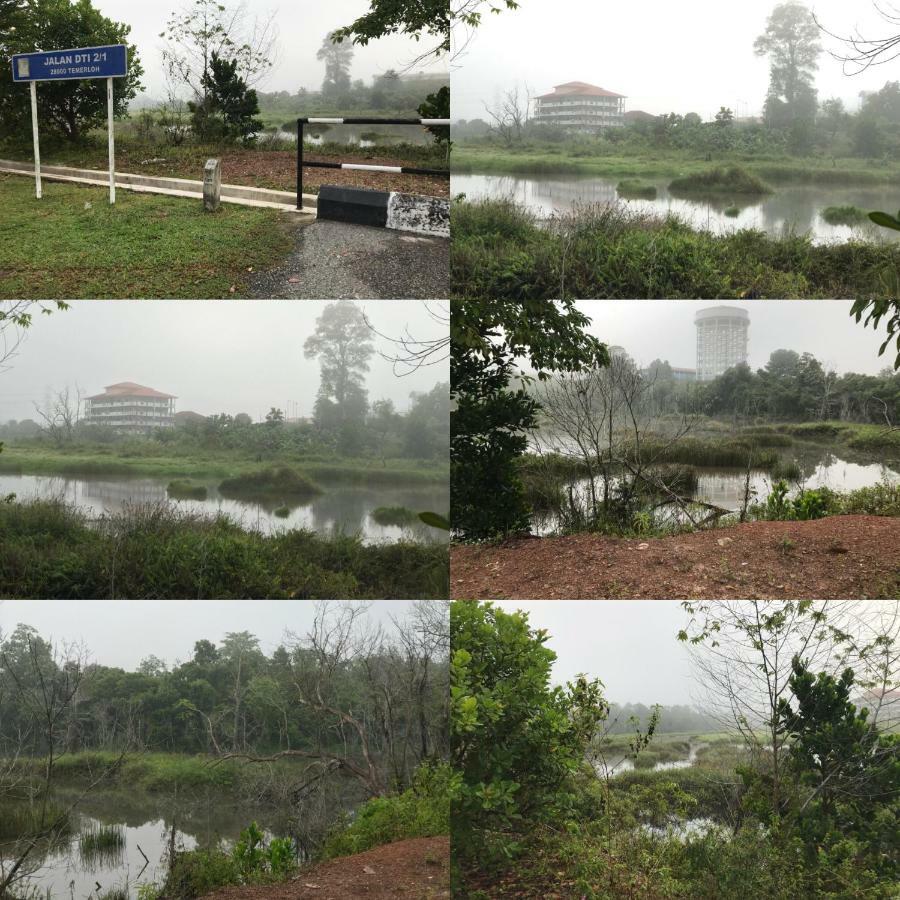 Patin Guest House @Desa Telok Ira, Temerloh Pahang Kampong Paya Kerinau Bagian luar foto